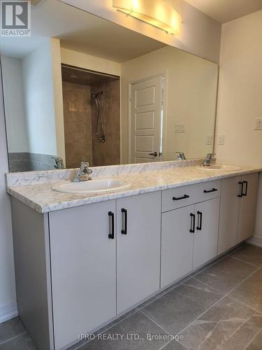 256 Velvet Way, Thorold, ON - Indoor Photo Showing Bathroom