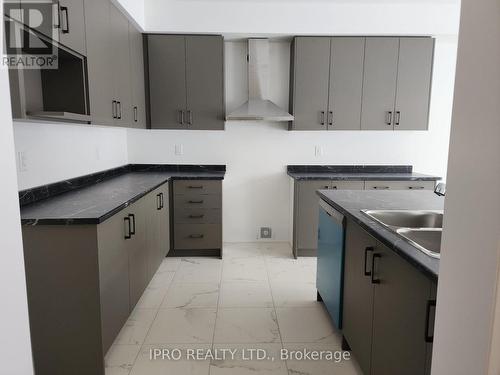 256 Velvet Way, Thorold, ON - Indoor Photo Showing Kitchen With Double Sink