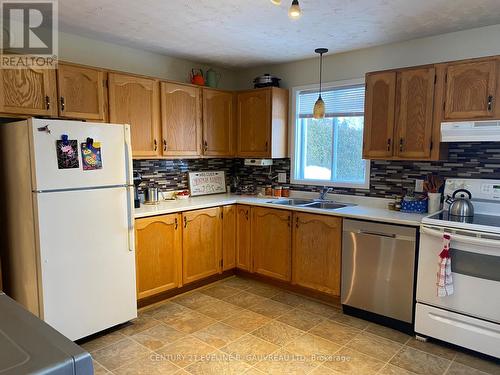 253 Little Street, Temiskaming Shores (Haileybury), ON - Indoor Photo Showing Kitchen With Double Sink