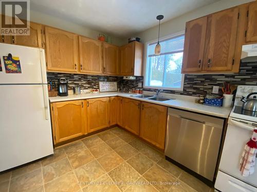 253 Little Street, Temiskaming Shores (Haileybury), ON - Indoor Photo Showing Kitchen With Double Sink