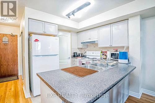 310 - 33 Elm Drive W, Mississauga, ON - Indoor Photo Showing Kitchen With Double Sink