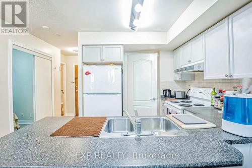 310 - 33 Elm Drive W, Mississauga, ON - Indoor Photo Showing Kitchen With Double Sink