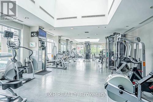 310 - 33 Elm Drive W, Mississauga, ON - Indoor Photo Showing Gym Room