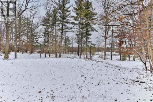 534 Blue Lake Road, Brant, ON - Outdoor With View