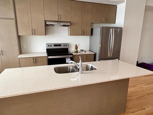 24-420 Newman Dr, Cambridge, ON - Indoor Photo Showing Kitchen With Stainless Steel Kitchen With Double Sink