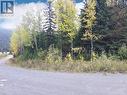 Lot 1 A Road, 100 Mile House, BC 