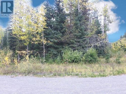 Lot 1 A Road, 100 Mile House, BC 