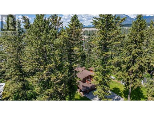 1309 Selkirk Drive, Golden, BC - Outdoor With View