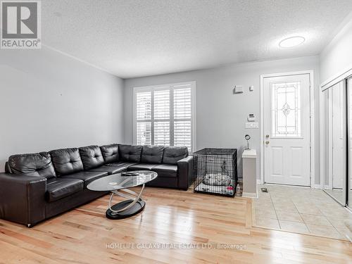 77 White Hill Avenue, Markham, ON - Indoor Photo Showing Living Room