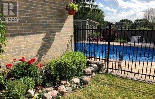 93 Hill Drive, Aurora, ON - Outdoor With In Ground Pool