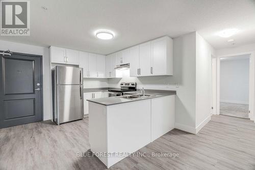 304 - 25 Centre Street, London, ON - Indoor Photo Showing Kitchen With Stainless Steel Kitchen With Double Sink