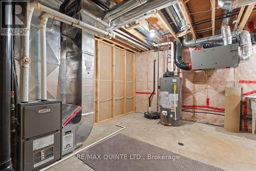 19 Sage Street, Belleville, ON - Indoor Photo Showing Basement