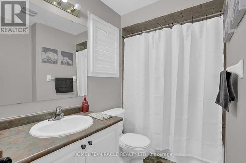 8 Meadow Wood Crescent, Hamilton, ON - Indoor Photo Showing Bathroom