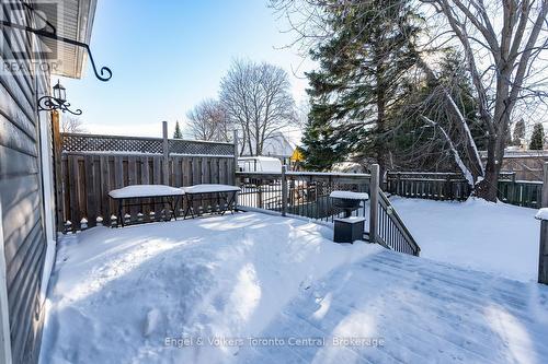 38 Rodney Street, Collingwood, ON - Outdoor With Deck Patio Veranda