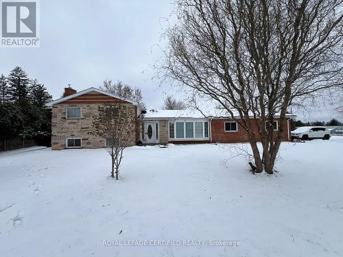 16 Browns Lane N, Brampton, ON 