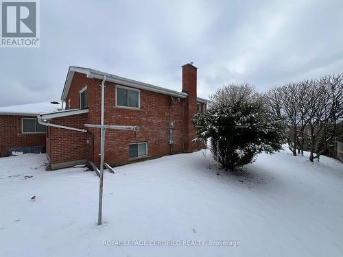 16 Browns Lane N, Brampton, ON 