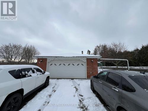 16 Browns Lane N, Brampton, ON 