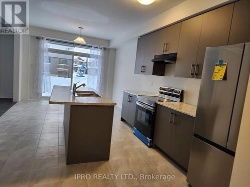 262 Velvet Way S, Thorold, ON - Indoor Photo Showing Kitchen With Double Sink