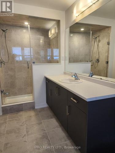 262 Velvet Way S, Thorold, ON - Indoor Photo Showing Bathroom