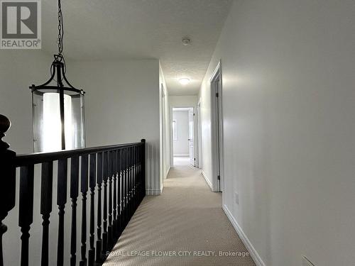 956 Bianca Court, Kitchener, ON - Indoor Photo Showing Other Room