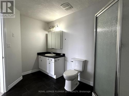 956 Bianca Court, Kitchener, ON - Indoor Photo Showing Bathroom