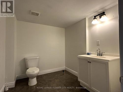 956 Bianca Court, Kitchener, ON - Indoor Photo Showing Bathroom