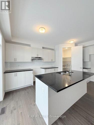 17 Pacing Walk, Ottawa, ON - Indoor Photo Showing Kitchen With Double Sink