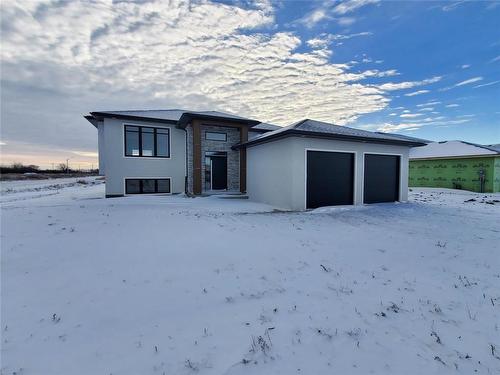 48 Harry Waytiuk Drive, East Selkirk, MB - Outdoor