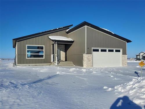 81 Wild Plum Lane, Steinbach, MB - Outdoor