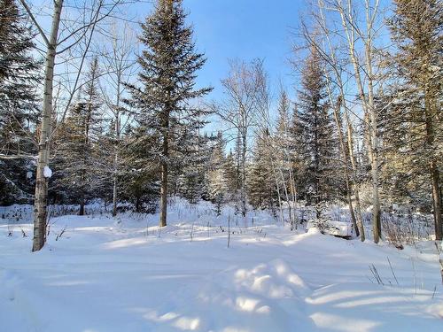 Backyard - 186 Route 113 S., Senneterre - Paroisse, QC - Outdoor With View