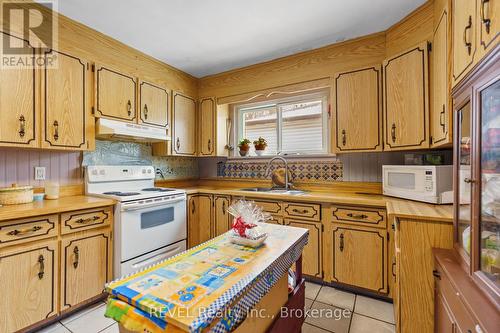 428 Carlton Street, St. Catharines (445 - Facer), ON - Indoor Photo Showing Kitchen