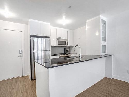 Cuisine - 215-2700 Rue De Rouen, Montréal (Ville-Marie), QC - Indoor Photo Showing Kitchen With Double Sink With Upgraded Kitchen