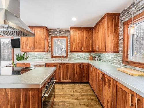 Cuisine - 191 Ch. Frizzle, Lac-Brome, QC - Indoor Photo Showing Kitchen With Double Sink