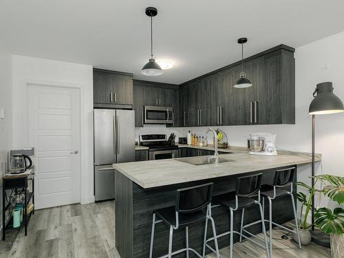 Kitchen - 8815  - 8817 Rue M.-J.-Drapeau, Mirabel, QC - Indoor Photo Showing Kitchen With Double Sink