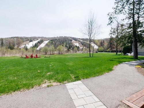 View - 103-310 Ch. Louis-Dufour, Saint-Sauveur, QC - Outdoor With View