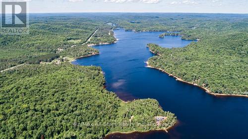 1058 Algonquin Outfitters Road, Algonquin Highlands, ON - Outdoor With Body Of Water With View