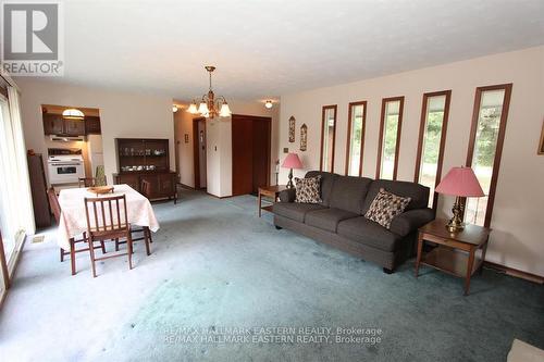 3325 County Road 48, Havelock-Belmont-Methuen, ON - Indoor Photo Showing Living Room