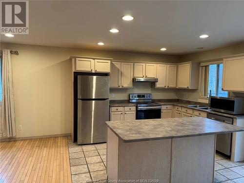 3878 Daytona, Windsor, ON - Indoor Photo Showing Kitchen With Double Sink