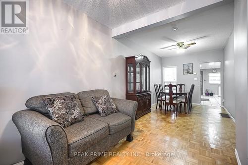 11 Bloem Avenue, Toronto, ON - Indoor Photo Showing Living Room