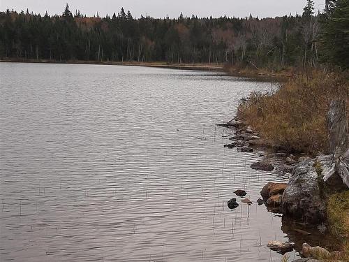 Tower Road, Chéticamp, NS 