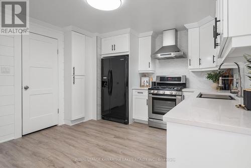 18 Bond Street W, Kawartha Lakes (Lindsay), ON - Indoor Photo Showing Kitchen