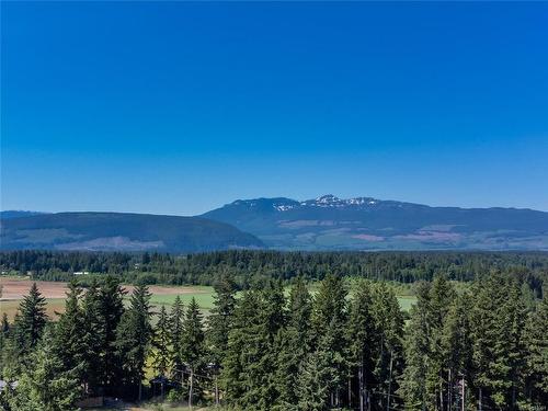 8598 Island Hwy North, Black Creek, BC 