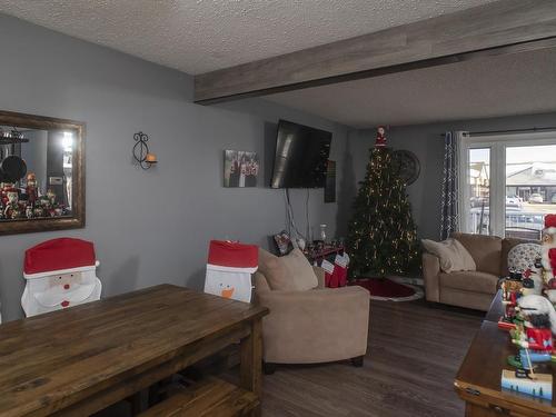 217 Mountdale Avenue, Thunder Bay, ON - Indoor Photo Showing Living Room