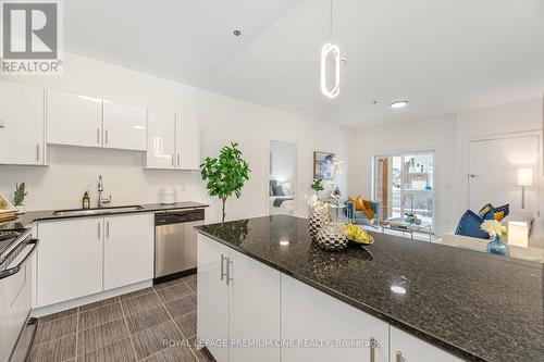 111 - 1360 Costigan Road, Milton, ON - Indoor Photo Showing Kitchen With Upgraded Kitchen