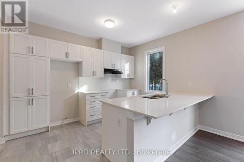 283 Falsetto Street, Ottawa, ON - Indoor Photo Showing Kitchen With Double Sink