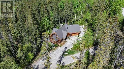 1438 Black Bear Drive, Golden, BC - Outdoor With View