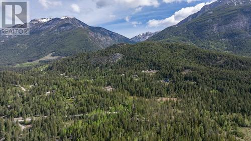 1438 Black Bear Drive, Golden, BC - Outdoor With View