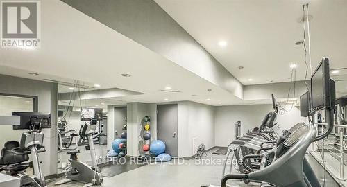 101 - 17 Kenaston Gardens, Toronto, ON - Indoor Photo Showing Gym Room