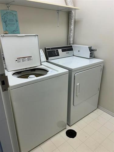 510 Second Avenue, Carberry, MB - Indoor Photo Showing Laundry Room