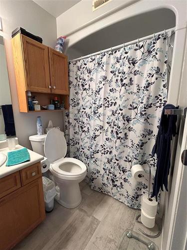 221 Simcoe Street, Carberry, MB - Indoor Photo Showing Bathroom